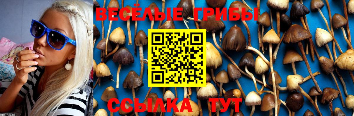 Галлюциногенные грибы Psilocybine cubensis Нарткала