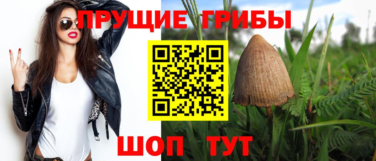 Псилоцибиновые грибы Cubensis  Вход с VPN  Нарткала 